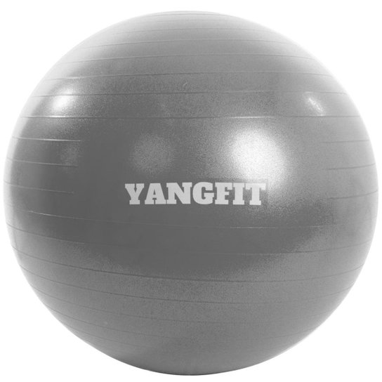 Bola Suiça Pilates Yoga 65cm Com Bomba de Encher - Cinza