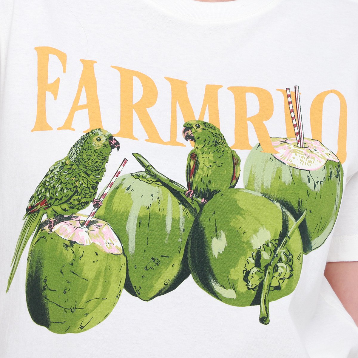 Camiseta Farm Fit Papacoco - Tam: G - 2