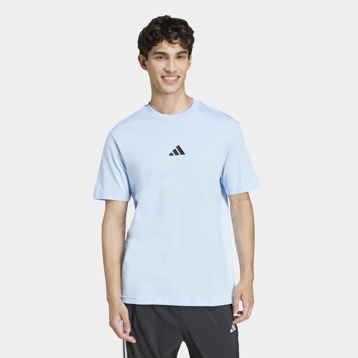 Camiseta Adidas Small Logo Masculina