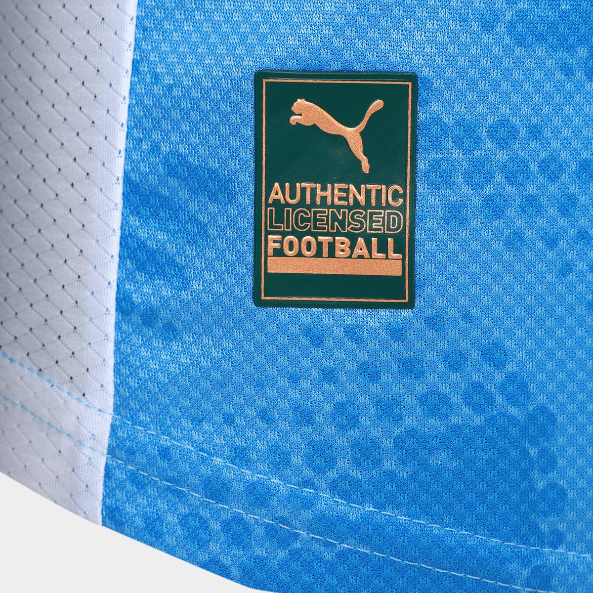 Camisa de Goleiro Palmeiras I 25/26 s/n Jogador Puma Masculina - Tam: P - 4