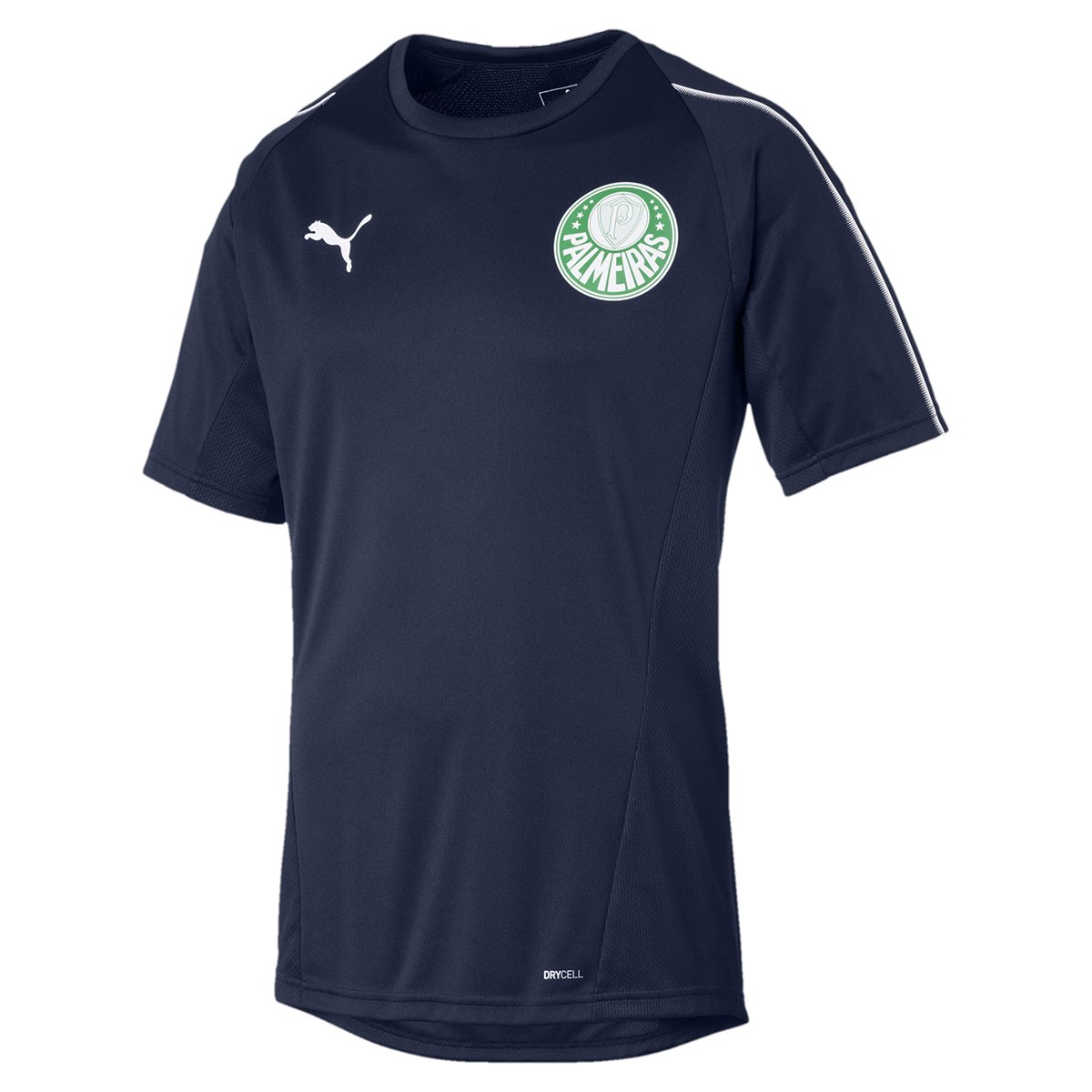 Camisa de Treino Palmeiras 19/20 Puma Masculina