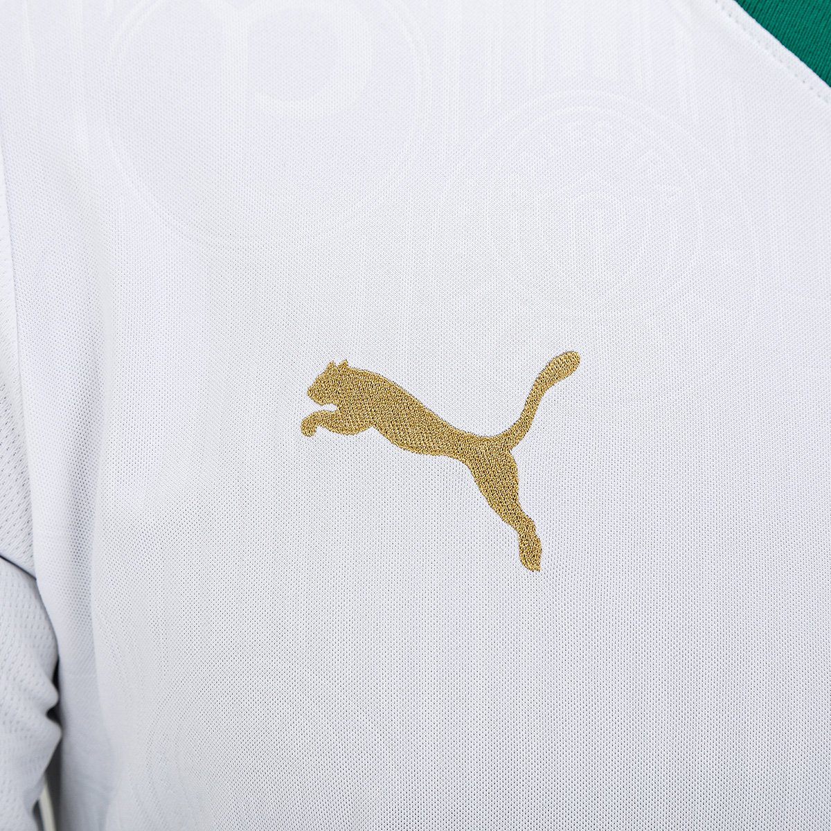 Camisa Palmeiras II 24/25 sn° Torcedor Puma Masculina - Tam: M - 3