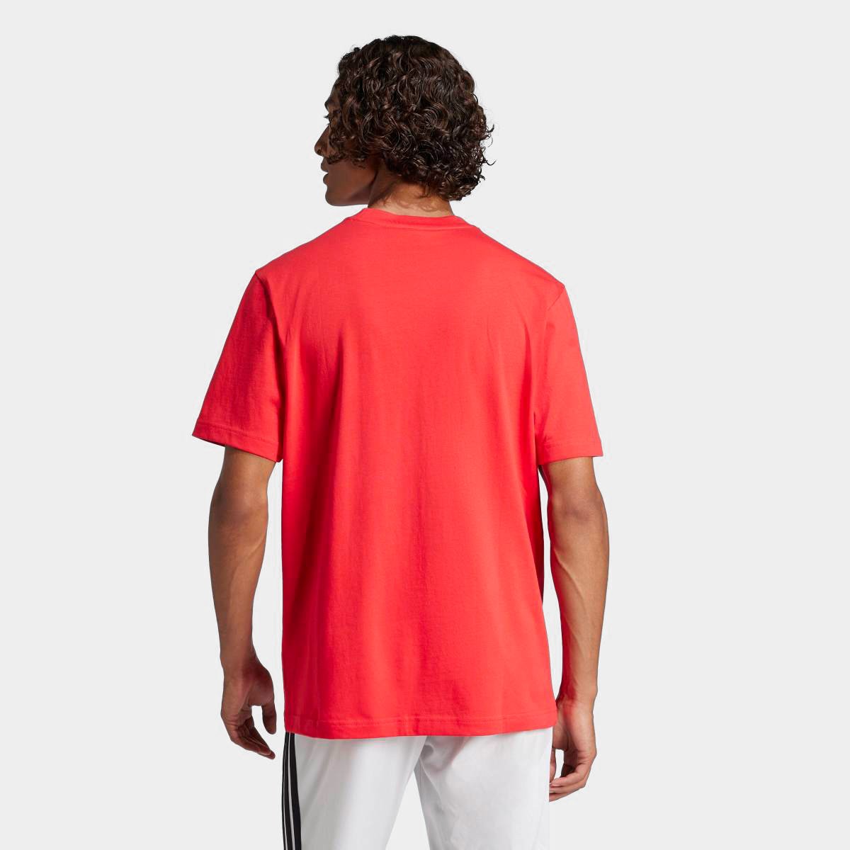Camiseta Adidas Small Logo Masculina - Tam: G - 1