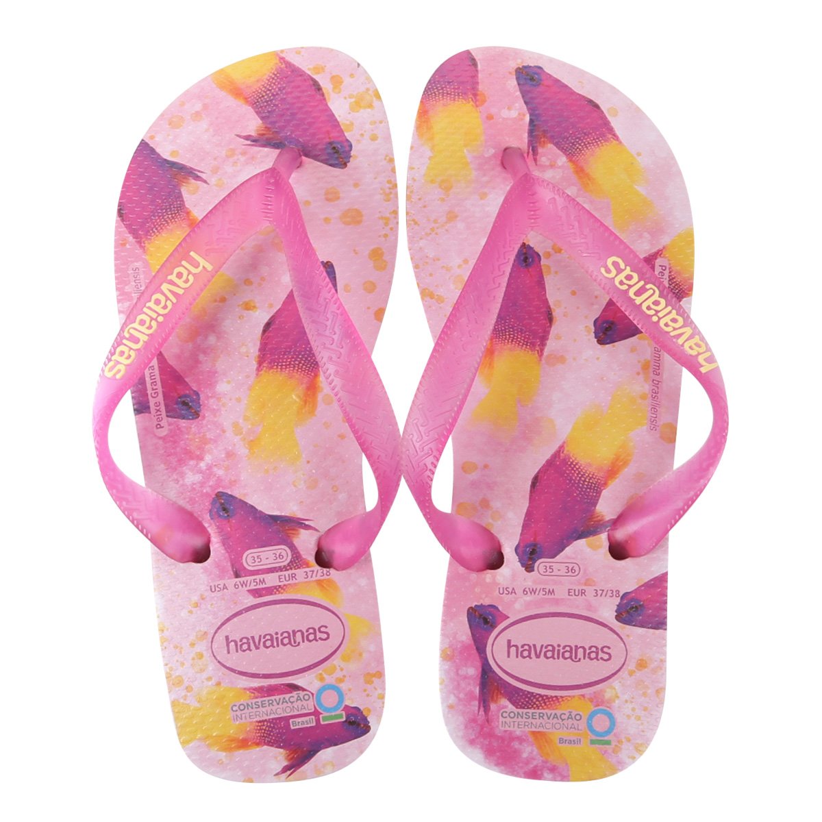 Havaianas Conservação Internacional