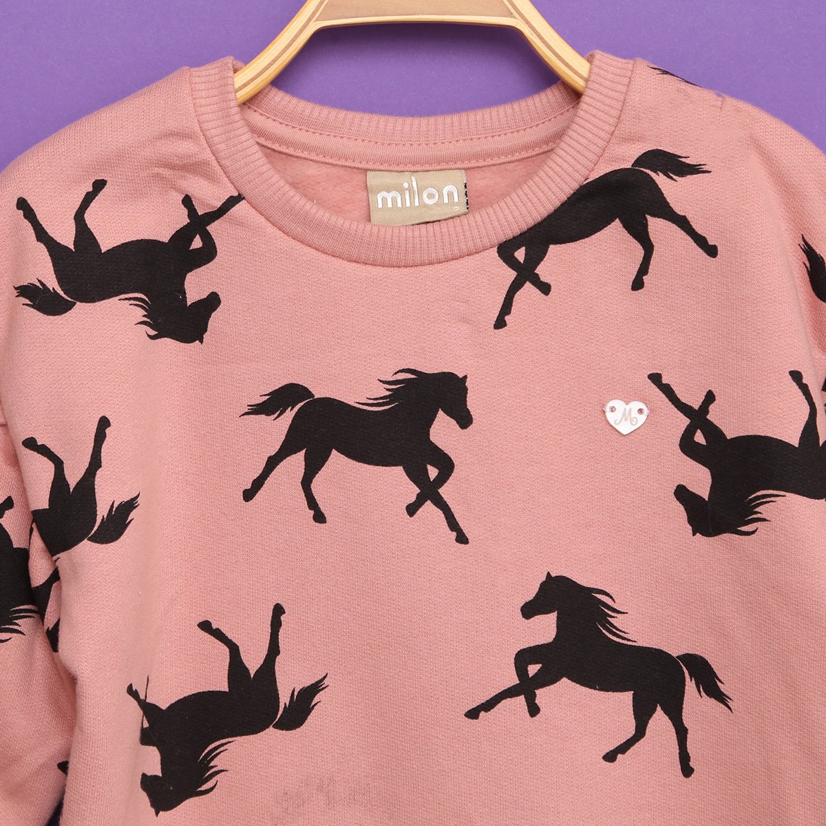 Conjunto Infantil Milon  Moletom Peluciado Horse Blusa + Calça Feminino - Tam: 1A - 1