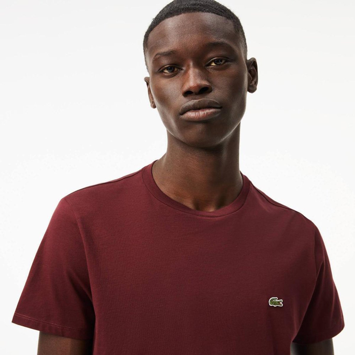 Camiseta Lacoste Logo Masculina - Tam: GG - 1
