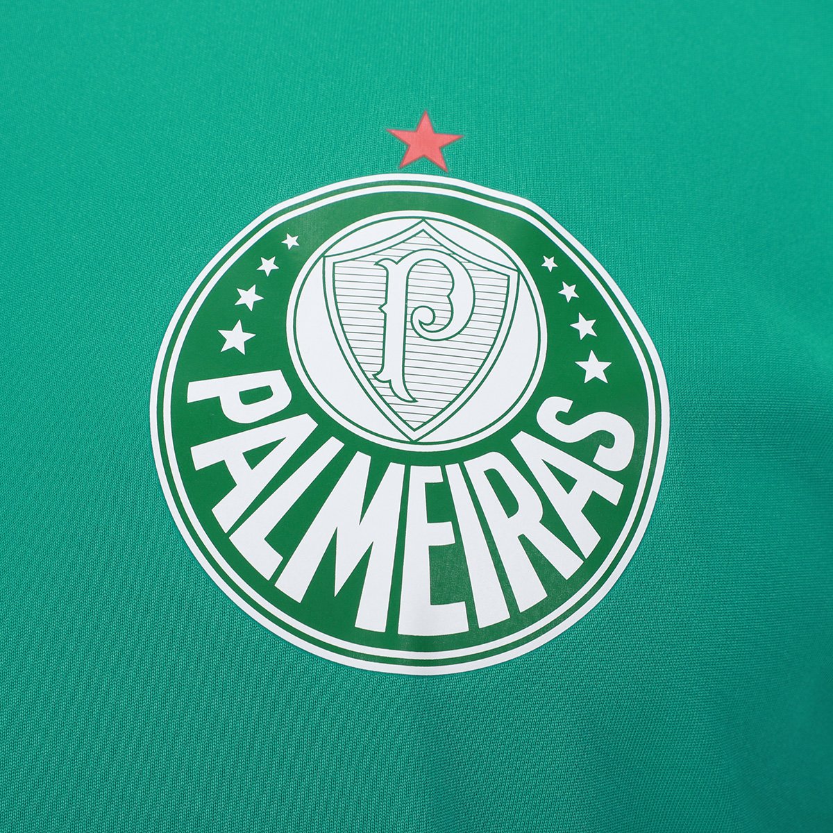 Camiseta Palmeiras 1914 Masculina - Tam: P - 3