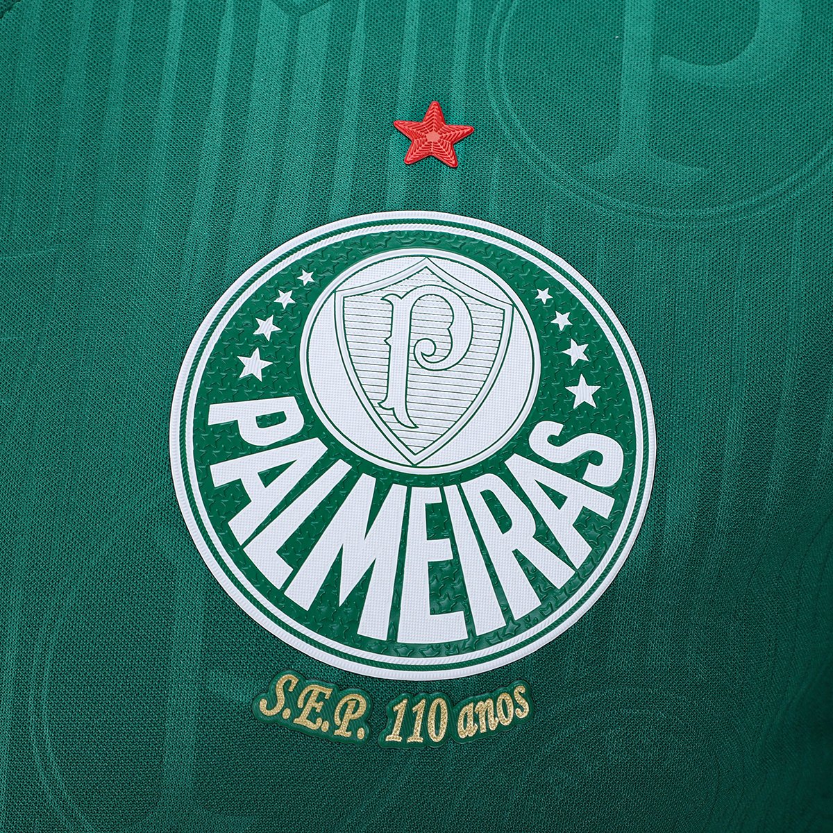 Camisa Palmeiras I 24/25 s/n° Jogador Puma Masculina - Tam: M - 2