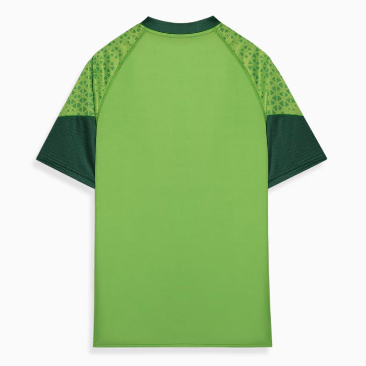 Camisa Palmeiras 24/25 s/n° Treino Puma Masculina - Tam: P - 1