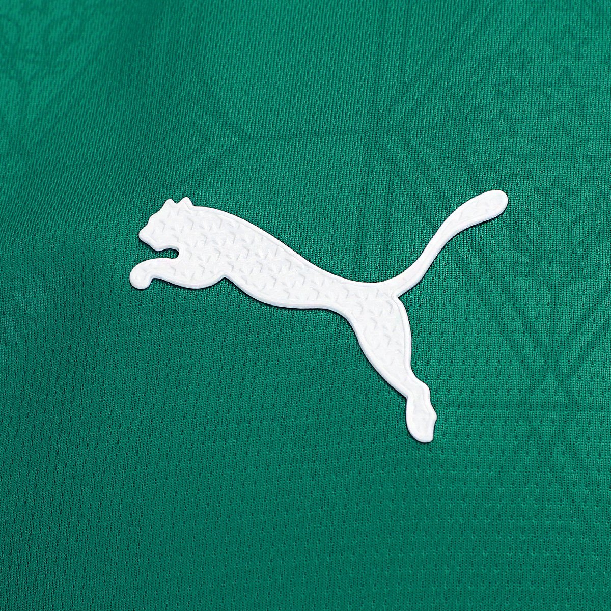 Camisa Palmeiras I 25/26 s/n Jogador Puma Masculina - Tam: P - 3