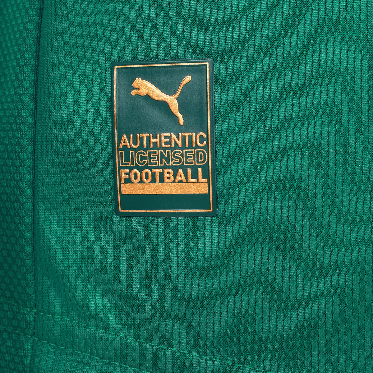 Camisa Palmeiras I 25/26 s/n Jogador Puma Masculina - Tam: P - 4