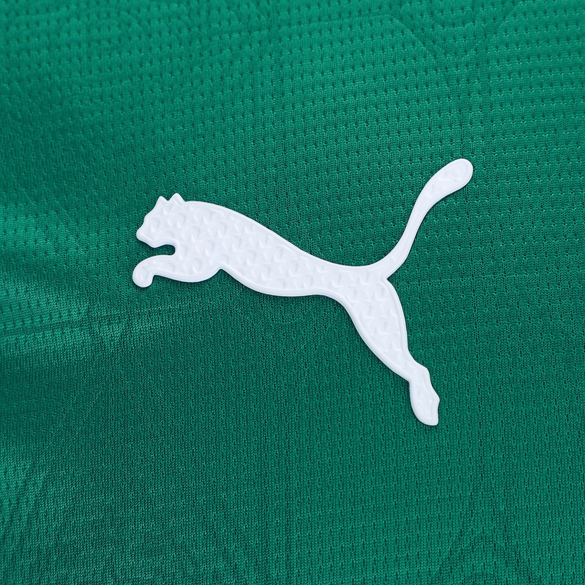 Camisa Palmeiras I 25/26 s/n Jogador Puma Masculina - Tam: P - 5