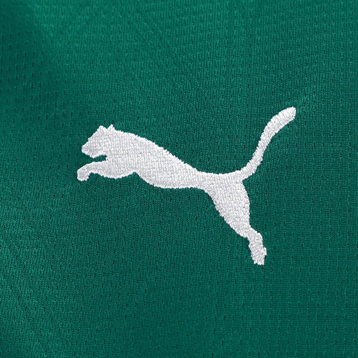 Camisa Palmeiras Puma Torcedor I 25/26 s/n Feminina - Tam: GG - 3