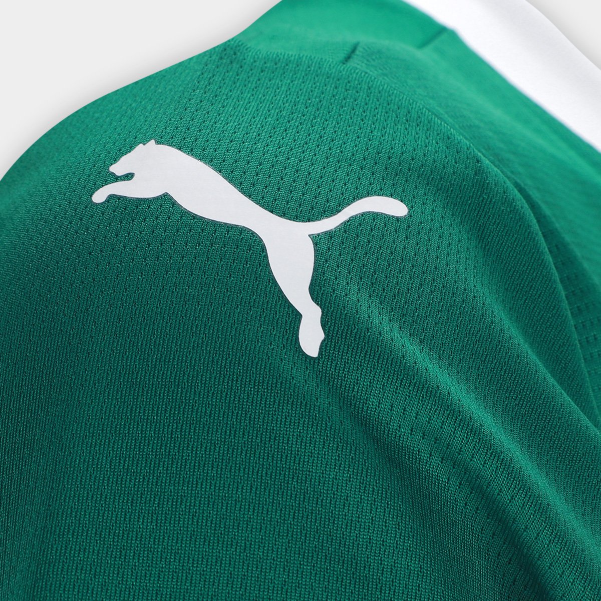 Camisa Palmeiras Puma Torcedor I 25/26 s/n Feminina - Tam: GG - 4