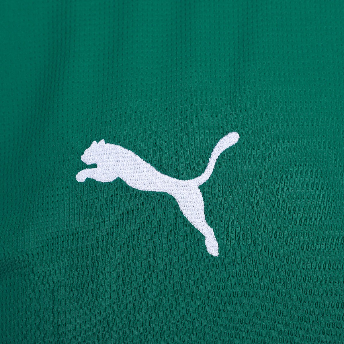Camisa Palmeiras I 26/27 s/n Torcedor Puma Masculina - Tam: M - 3
