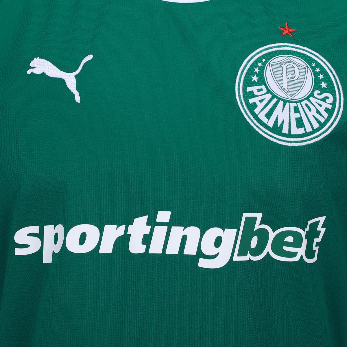 Camisa Palmeiras I 26/27 s/n Torcedor Puma Masculina - Tam: M - 5