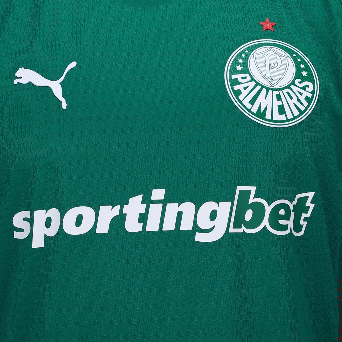 Camisa Palmeiras I 26/27 s/n Jogador Puma Masculina - Tam: P - 2