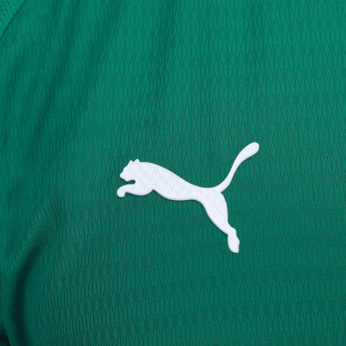 Camisa Palmeiras I 26/27 s/n Jogador Puma Masculina - Tam: P - 4
