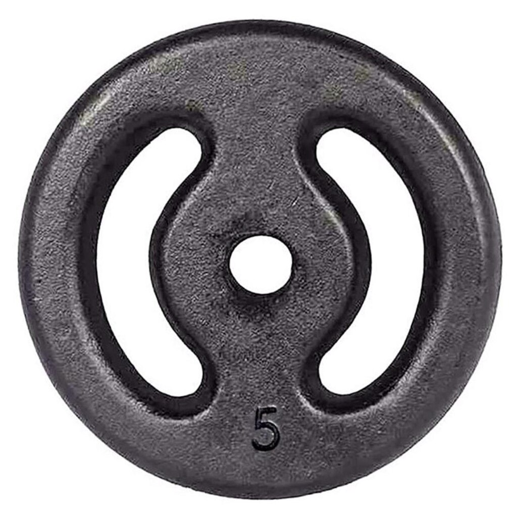 Anilha 5KG Pintada IBJ - Peso Musculação 5Kg