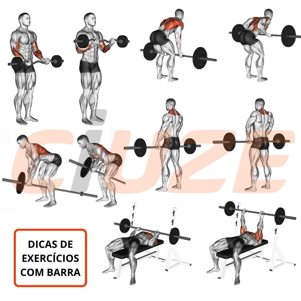 Treino De Barra W Para Biceps Fazer Rosca Biceps Banco Scott Barra