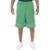 Bermuda Basquete Masculina M10 Dunk Paralela - Verde