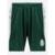 Bermuda Palmeiras Player II - Verde