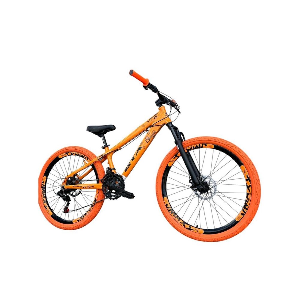 Bicicleta 26 Gta Rebel Freeride Downhill 21v Alumínio Aros Vmaxx Freio a Disco Pneu Flame