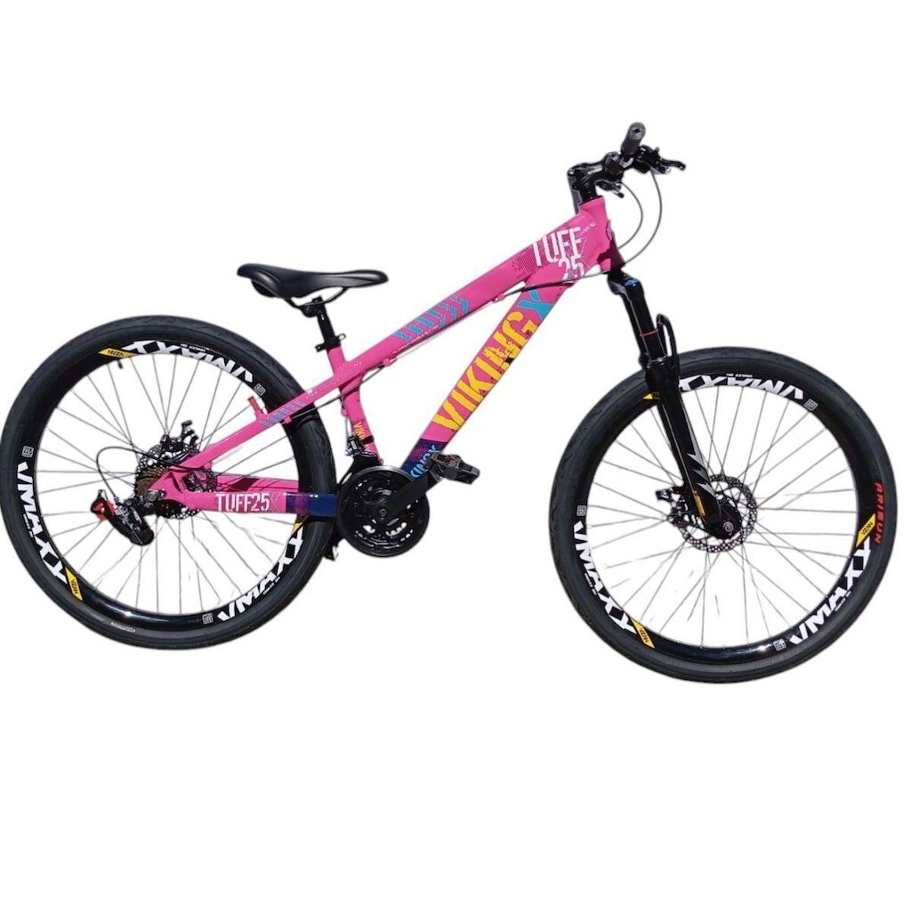 Bicicleta 26 VikingX T25 24v Freeride Indexado Freio Disco Hidraulico Pneu Balão Flame
