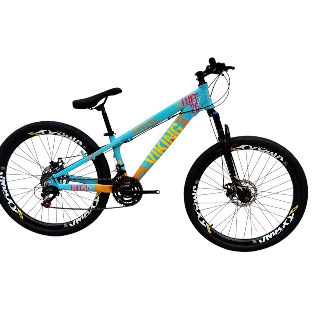 Bicicleta 26 VikingX T25 24v Freeride Indexado Freio Disco Hidraulico Pneu Balão Flame