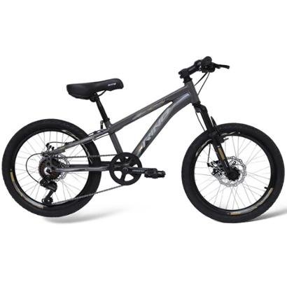 Bicicleta Aro 20 Rino Freio A Disco Cambio Shimano - Grafite | Netshoes