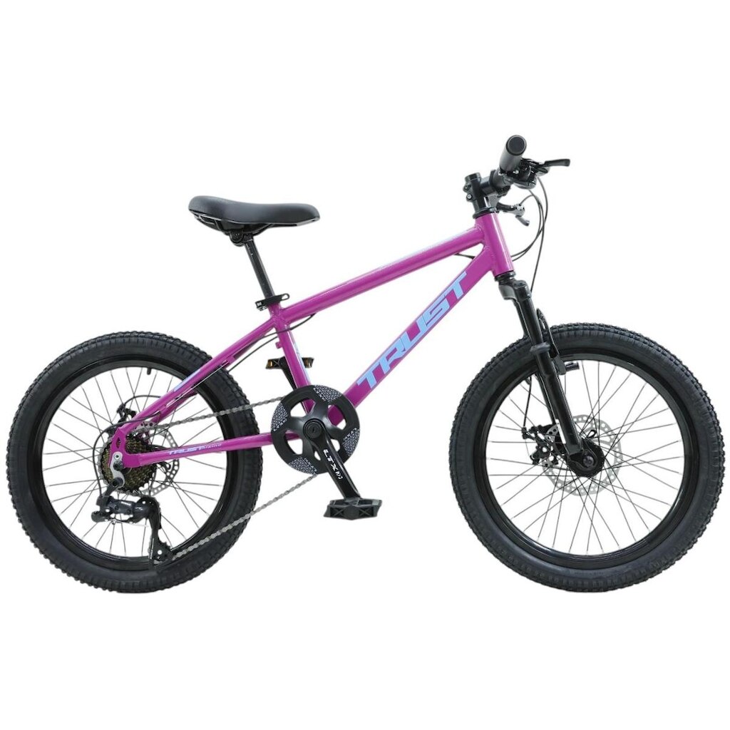 Bicicleta Aro 20 Trust 1x7 Freio A Disco Cambio Importado