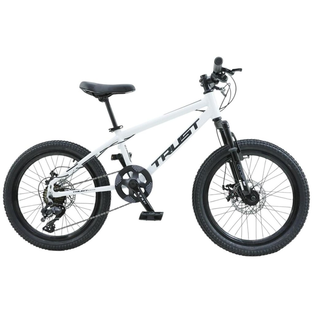 Bicicleta Aro 20 Trust 1x7 Freio A Disco Cambio Importado