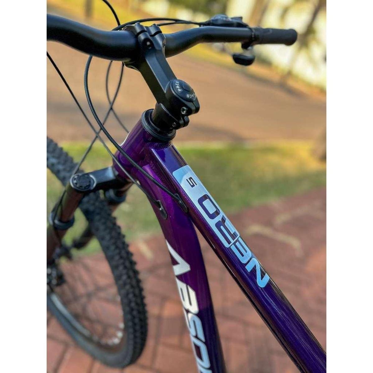 Bicicleta Aro 29 Absolute Nero 5 21v Câmbios Shimano Freio a Disco