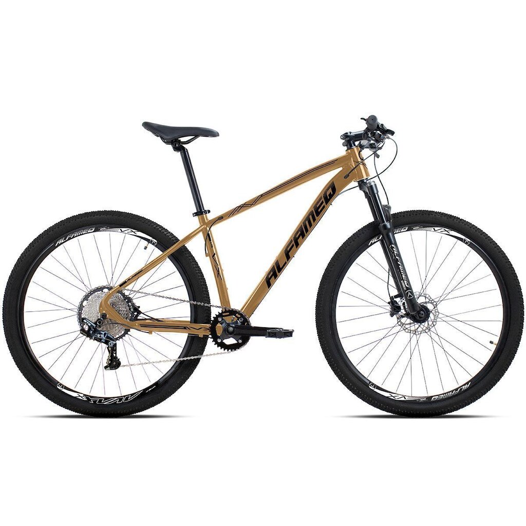 Bicicleta Aro 29 Alfameq Vx 12 Marchas Freio A Disco Hidráulico