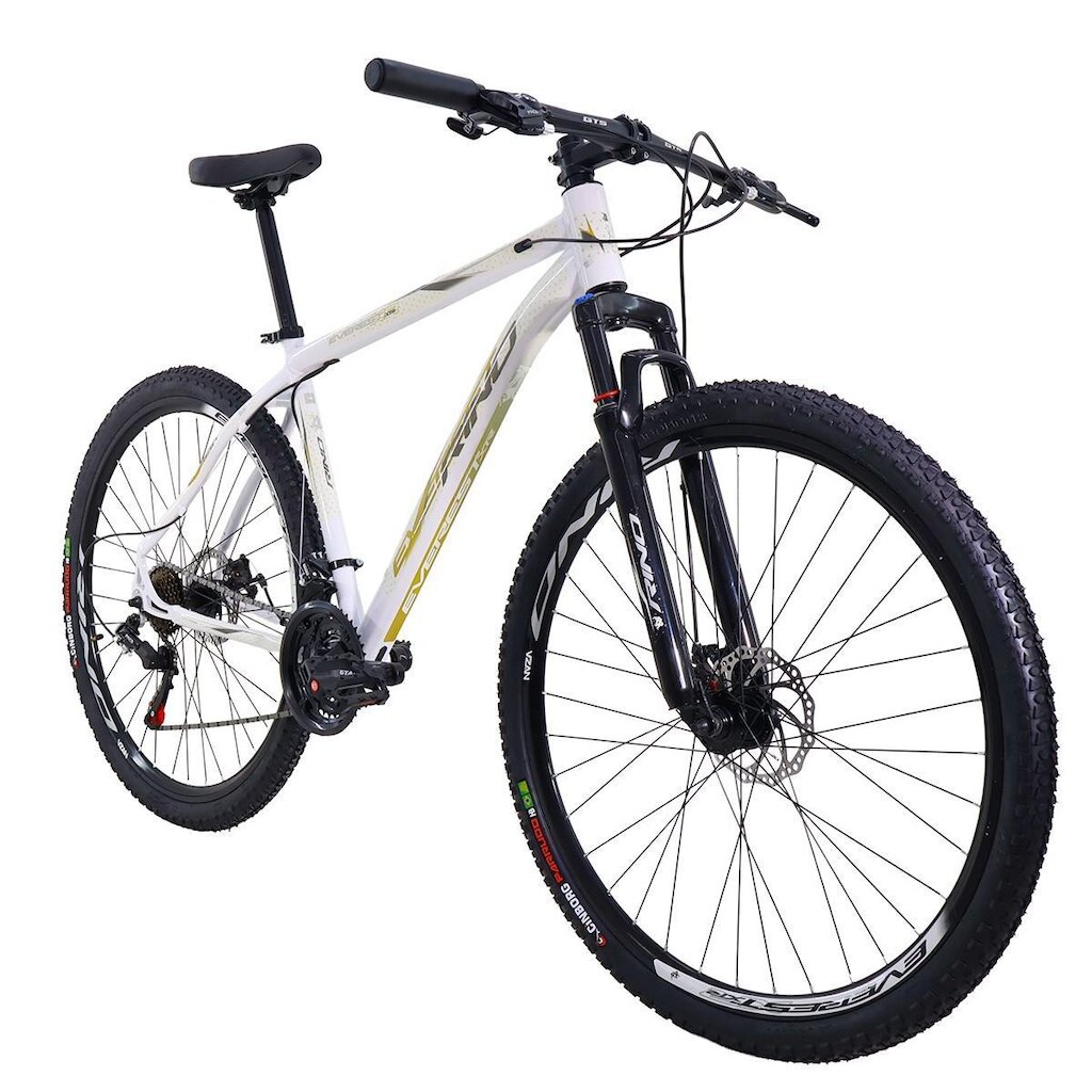 Bicicleta Aro 29 Rino Everest 21 Velocidades