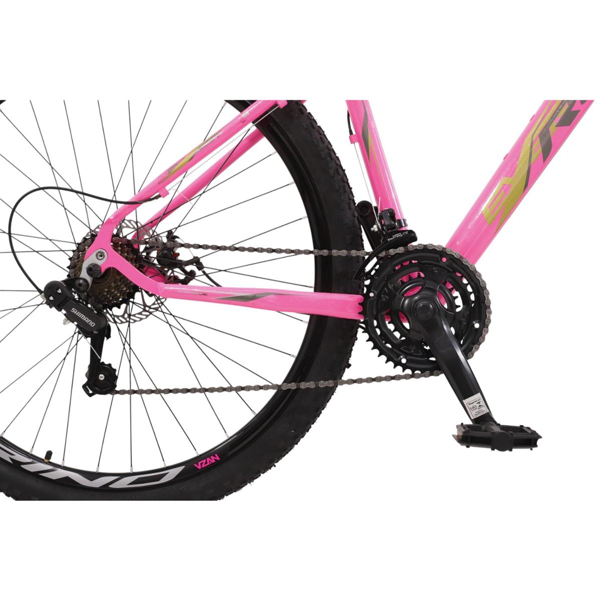 Bicicleta Aro 29 Rino Everest XR 24 Velocidades Freio Hidráulico