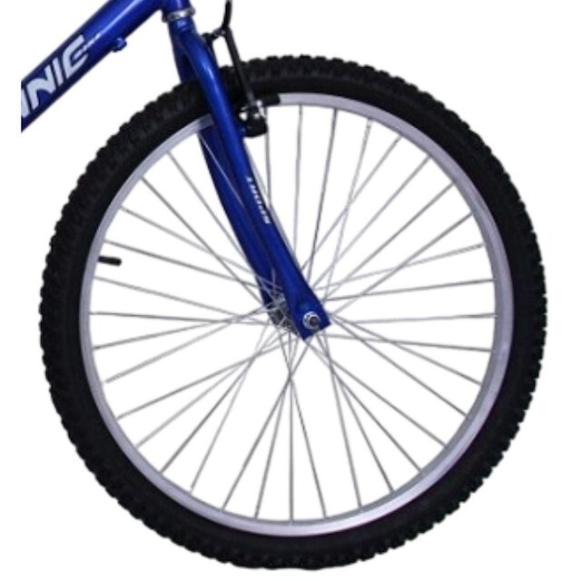 Bicicleta Dalannio Aro 24 Sport