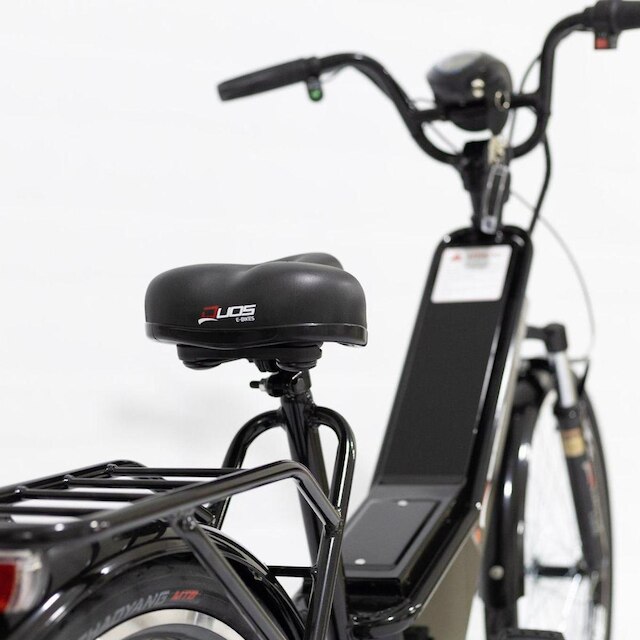 Bicicleta Duos Elétrica Confort 800W 48V 15Ah