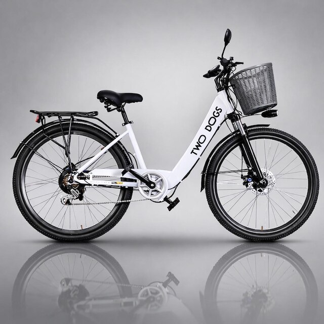 Bicicleta Eletrica Classic S3 36V 350W