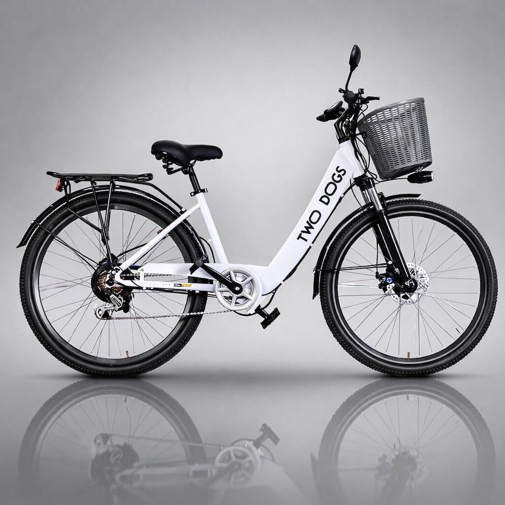 Bicicleta Eletrica Classic S3 36V 350W