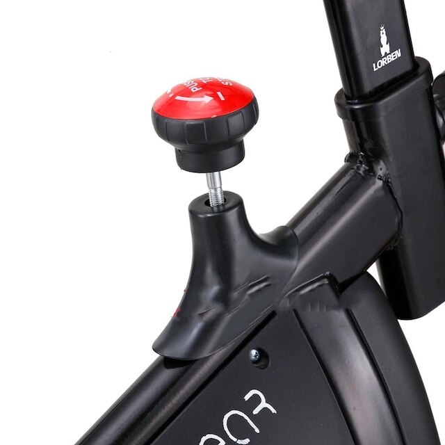 Bicicleta Ergométrica Spinning Lorben Magnética GT6176-R