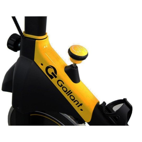 Bicicleta Ergométrica Spinning Magnética Gallant Elite Roda de Inércia 13 kg (GSB13HMGA-PT)