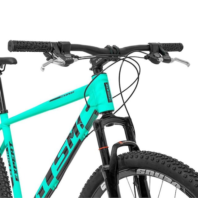 Bicicleta GTS Aro 29 Freio a disco Câmbios shimano Tourney 24 Marchas e suspensão| GTS M1 New Expert