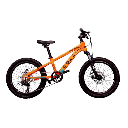 Bicicleta Infantil Colli Dublin 7v Aro 20 Freio Disco