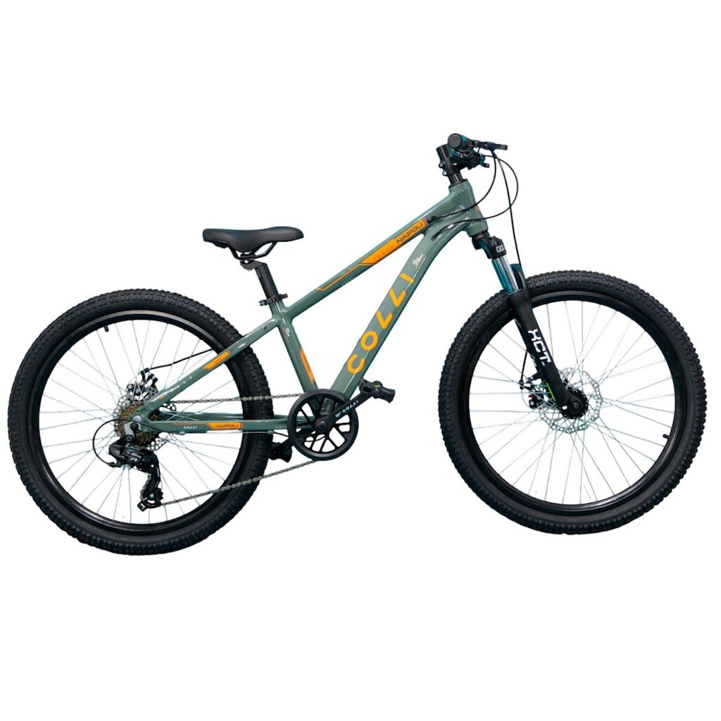 Bicicleta Infantil Colli Napoli 7v Aro 24 Freio Disco