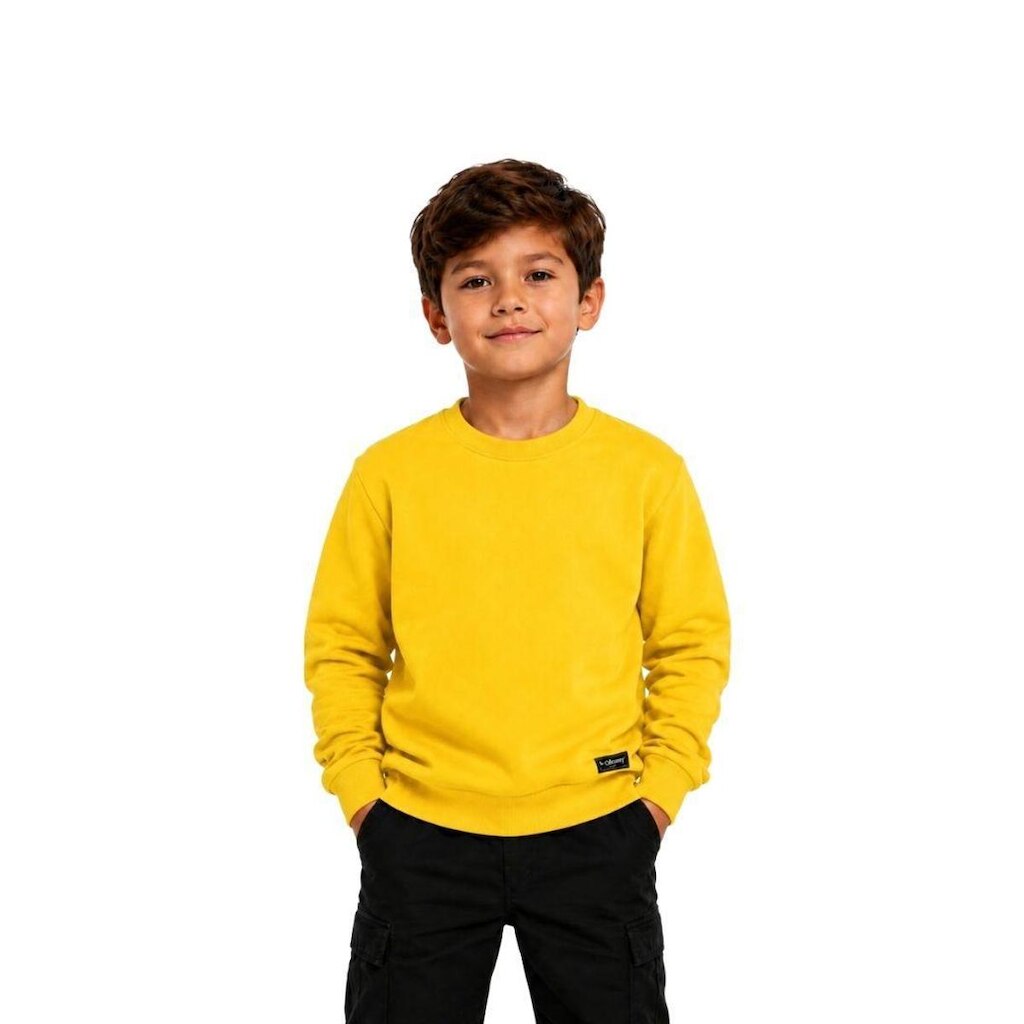 Blusão Moletom Infantil Liso Básico Gola Redonda Sem Capuz