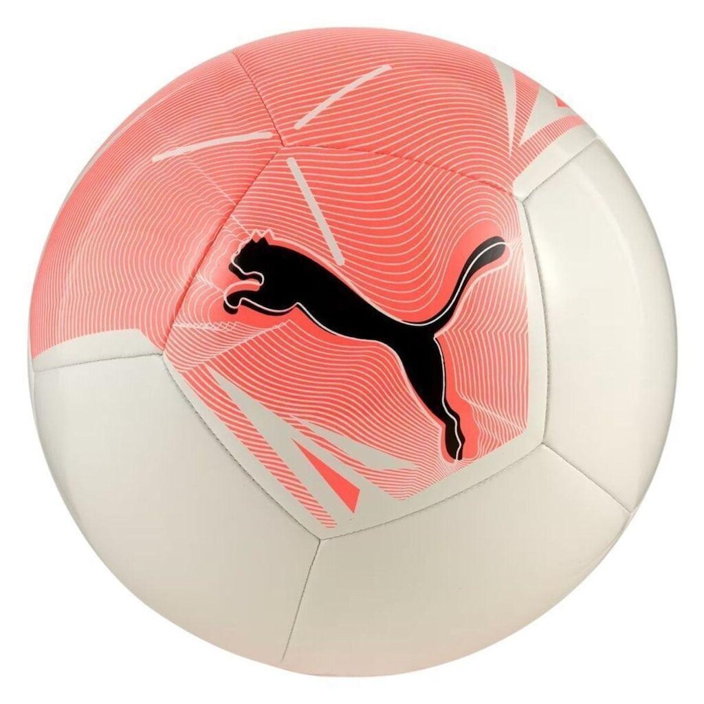 Bola Campo Puma Big Cat - Branco 5