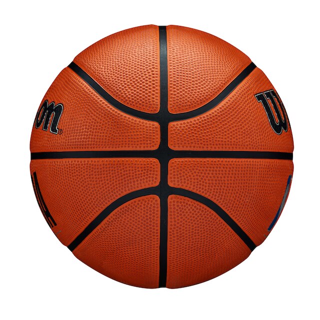 Bola de Basquete Wilson NBA DVR Pro #7