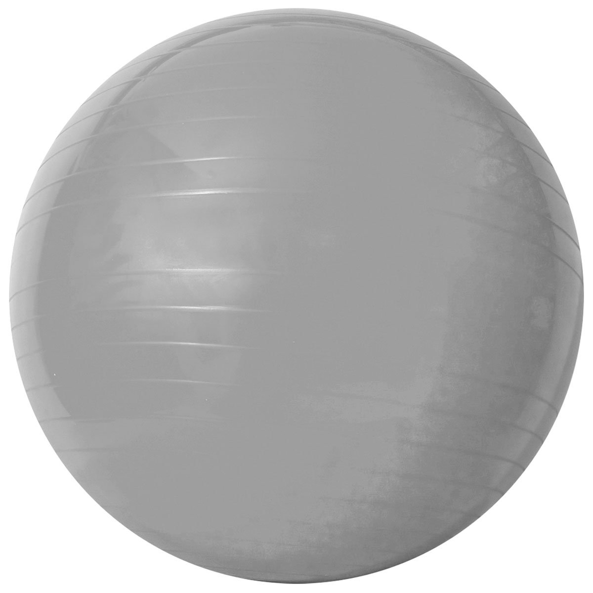 Bola de Ginástica Acte Sports com bomba de Ar 55cm Menor preço em Bola de Ginástica Acte Sports com bomba de Ar 55cm