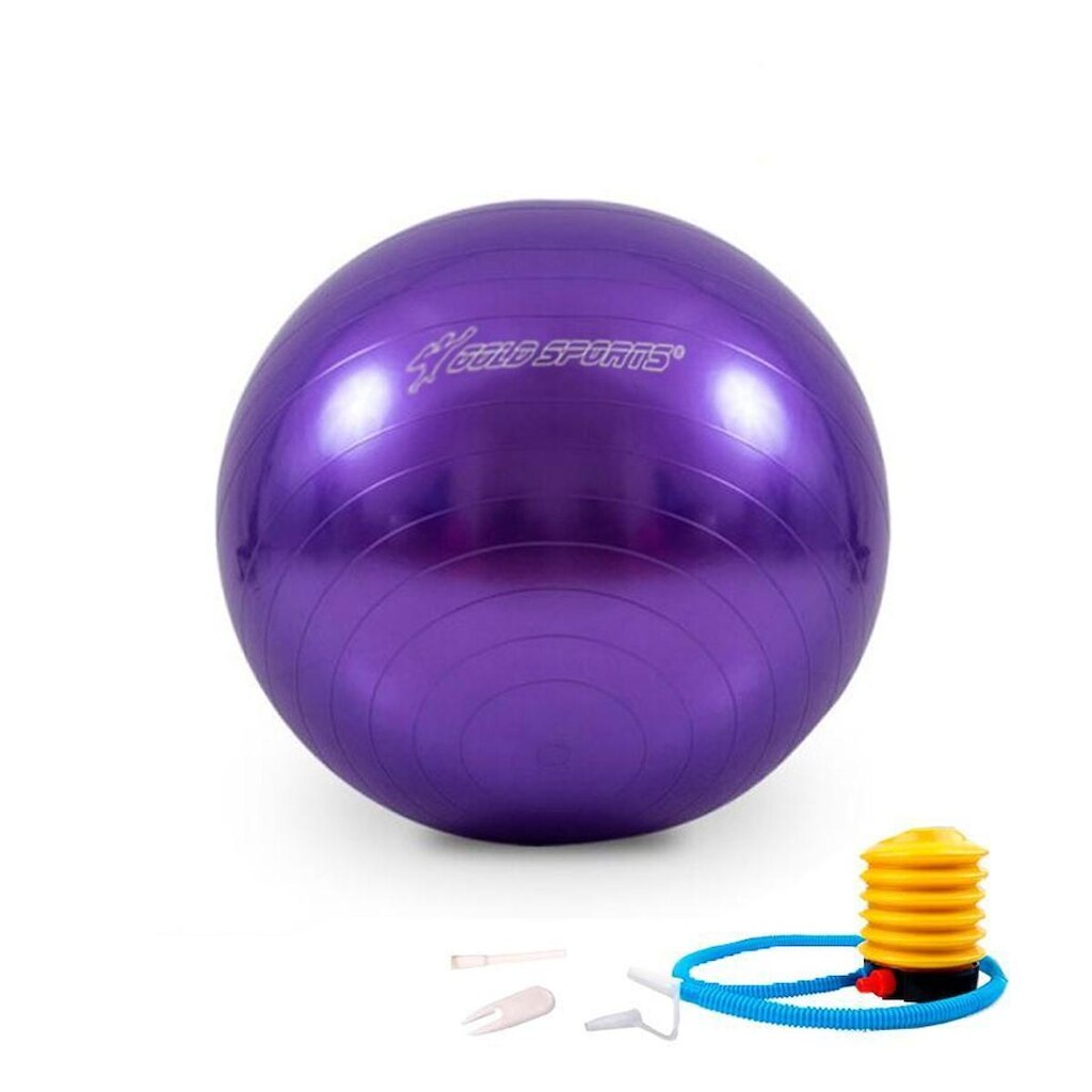 Bola de Ginástica Gold Sports Pro 55cm Com Bomba de Encher Anti Explosão